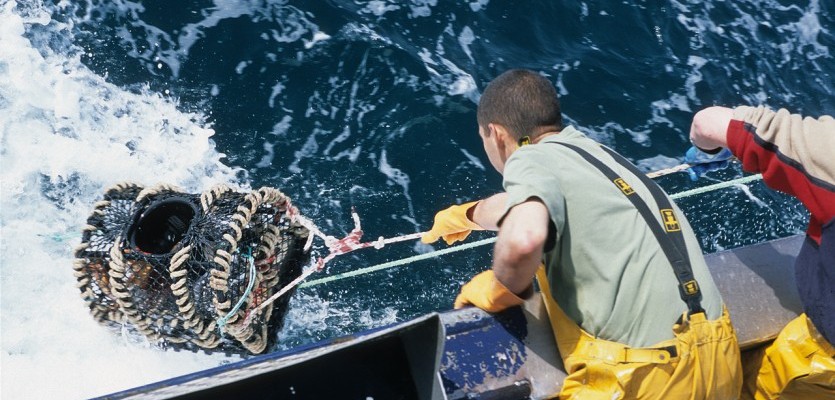 Pêche Pêche